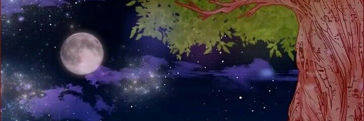 Moon banner