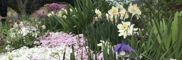 Reveur__Lunaire Profile Banner