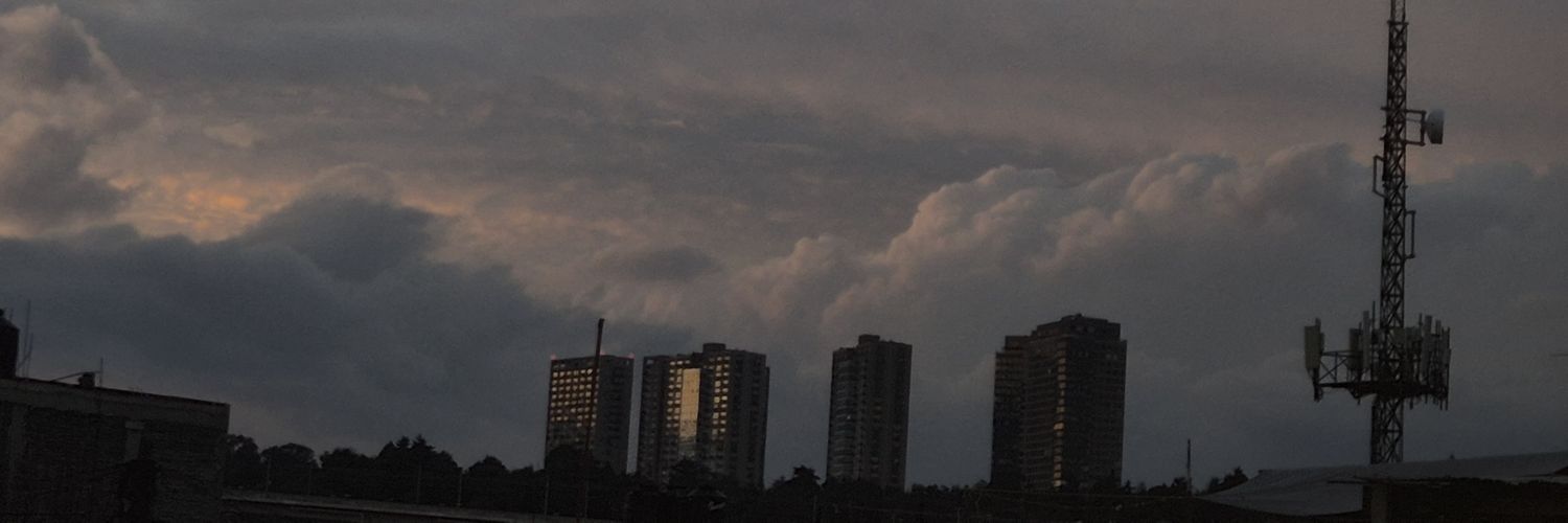 mdzstrd's profile banner image