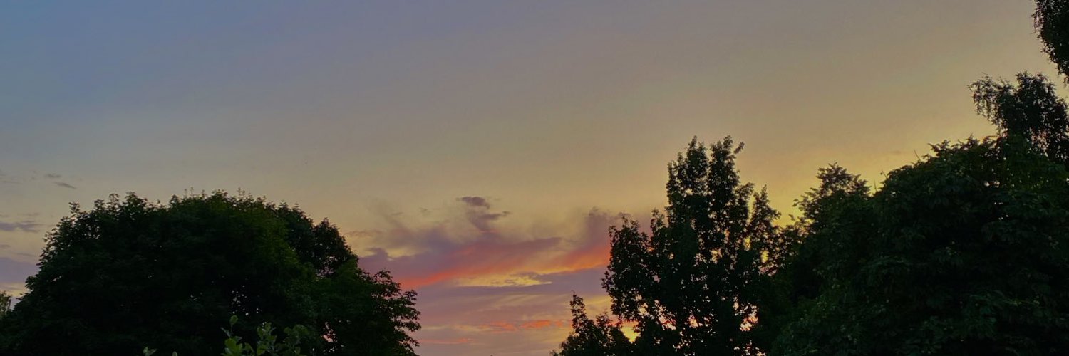 chrisleyjoy's profile banner image