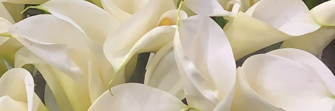 analanis99's profile banner image