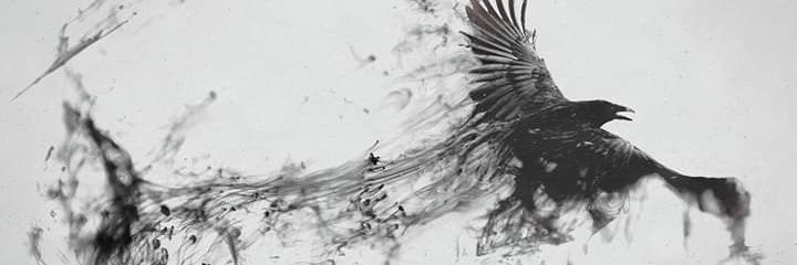 RCanely's profile banner image