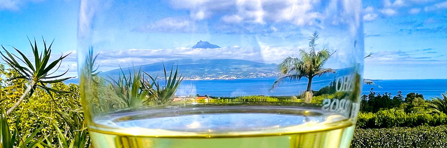 Dmitri Korobtsov banner