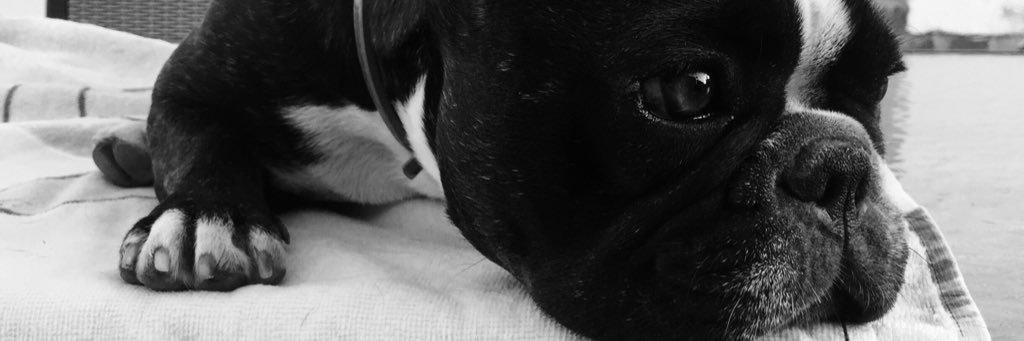 nataliapl9's profile banner image