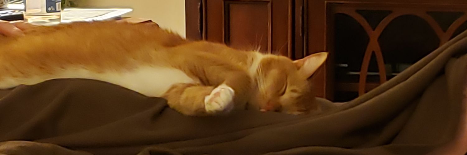 MidniteTraveler's profile banner image