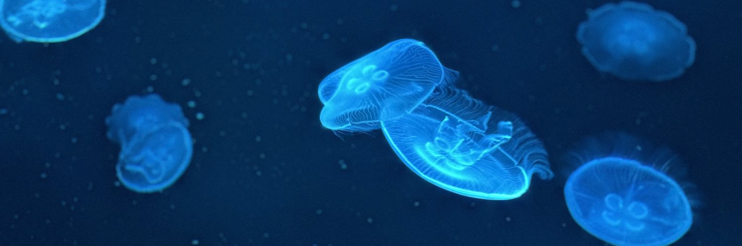 休肺日。🚭 banner