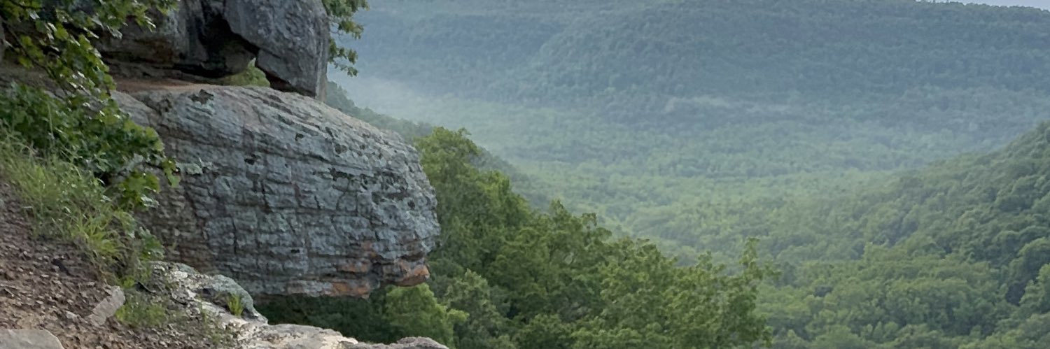 Madison_Durham's profile banner image