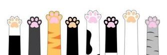 ljlzc's profile banner image