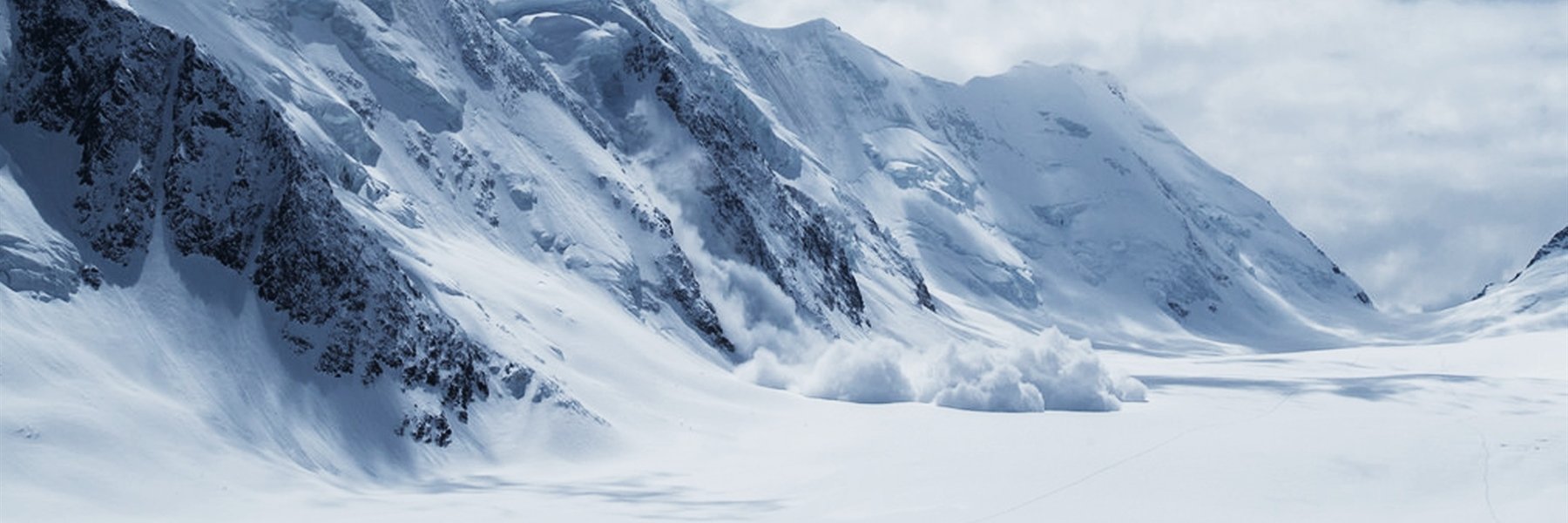 ardnetonline's profile banner image