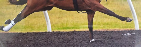 PickViewLLC Profile Banner