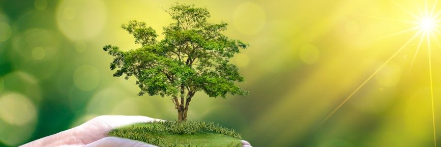 thevoiceofind47's profile banner image