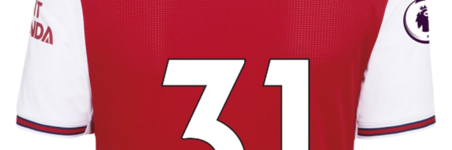 dW31 banner