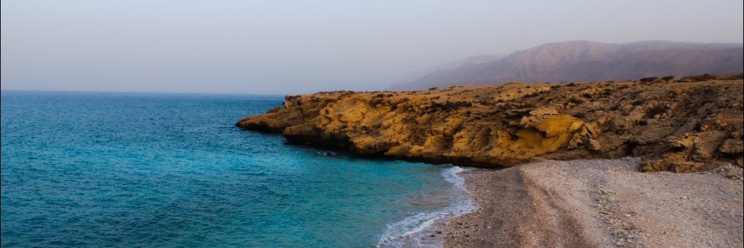 Majid Aljabri banner
