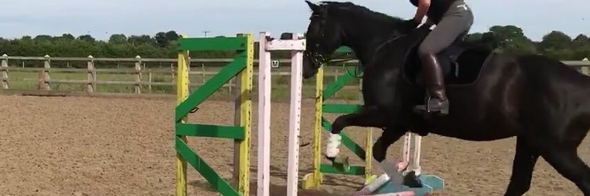 Elizabeth Agnes 🐴 banner