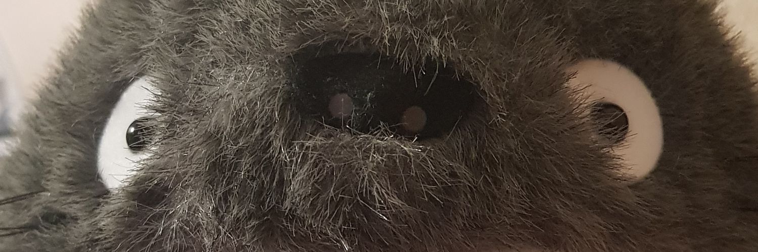 MoonlitArin's profile banner image