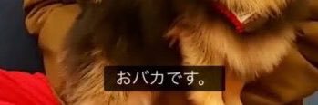 ぽめ banner