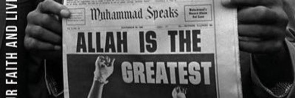 dzfr96 Profile Banner