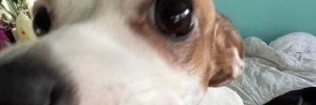 __sds__'s profile banner image