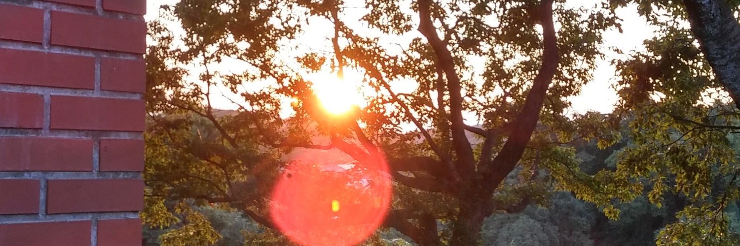 kitawo's profile banner image