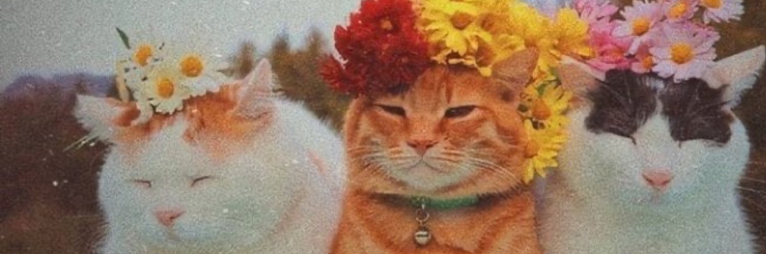omaymr's profile banner image