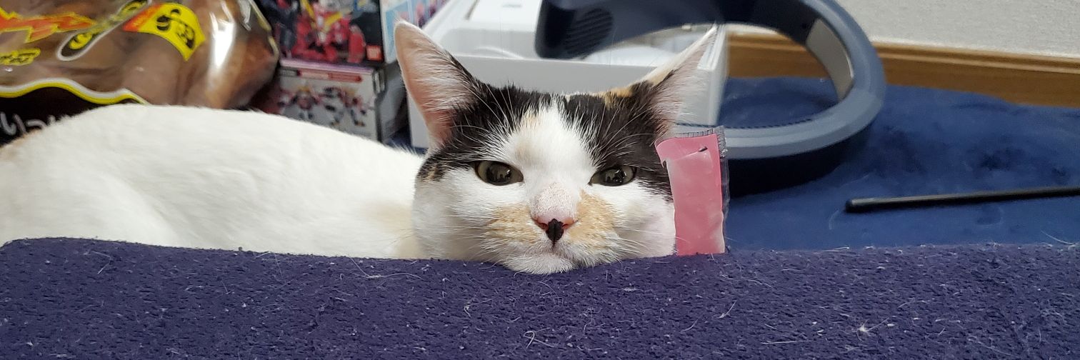 るのあ@mini banner