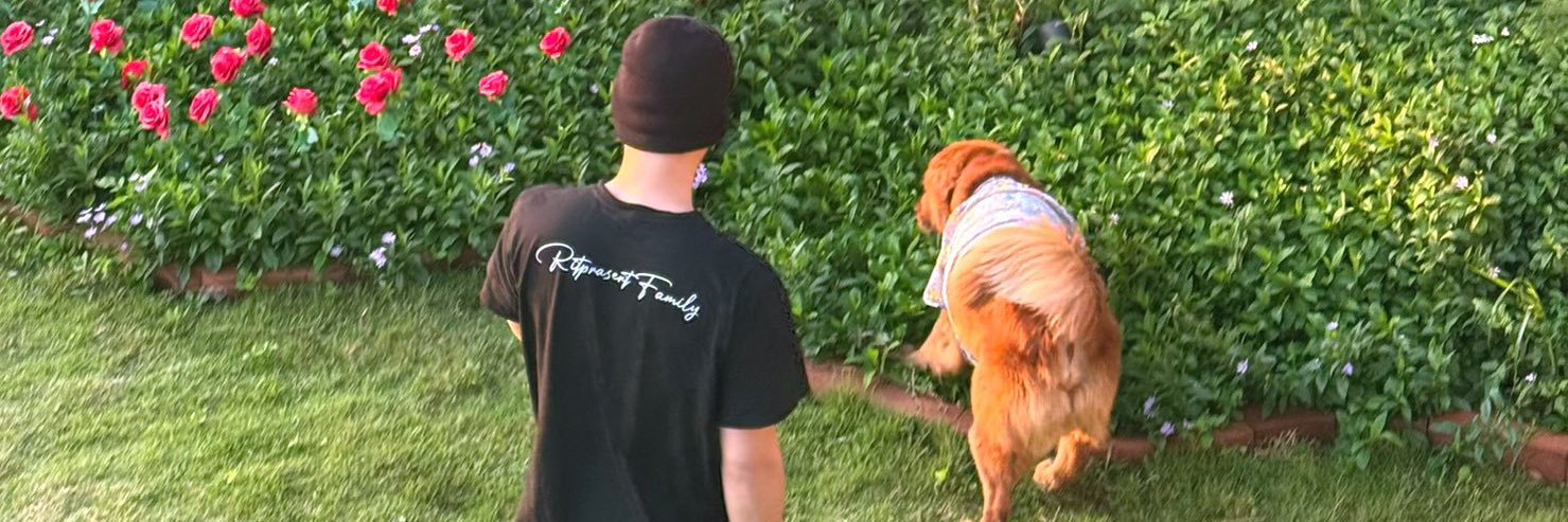 Lachsdill 🐻💙💙 banner