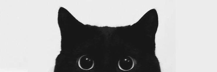 dadariobae's profile banner image
