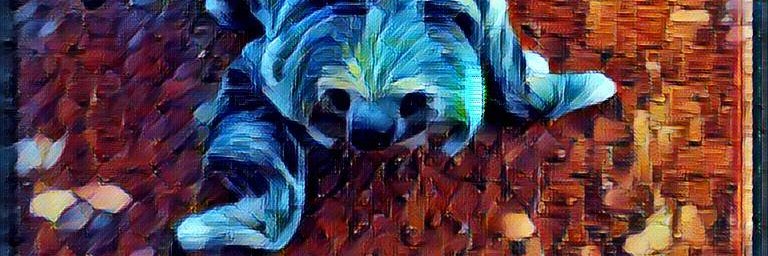 aleonardobecerr's profile banner image