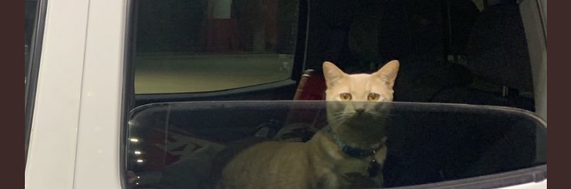 HarveyKenzie's profile banner image