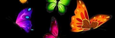 AngieNelima's profile banner image