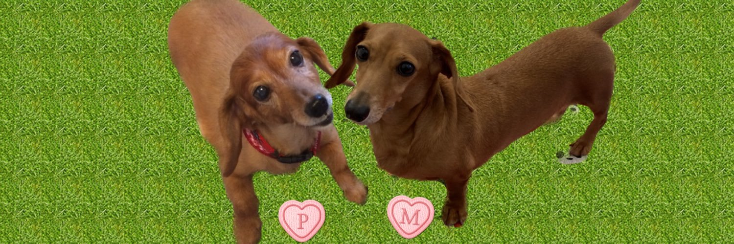 よーこんぶ banner