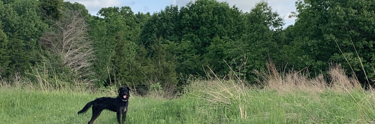 jphlip24's profile banner image