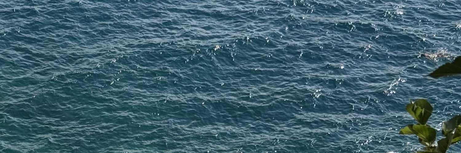ebrucceren's profile banner image