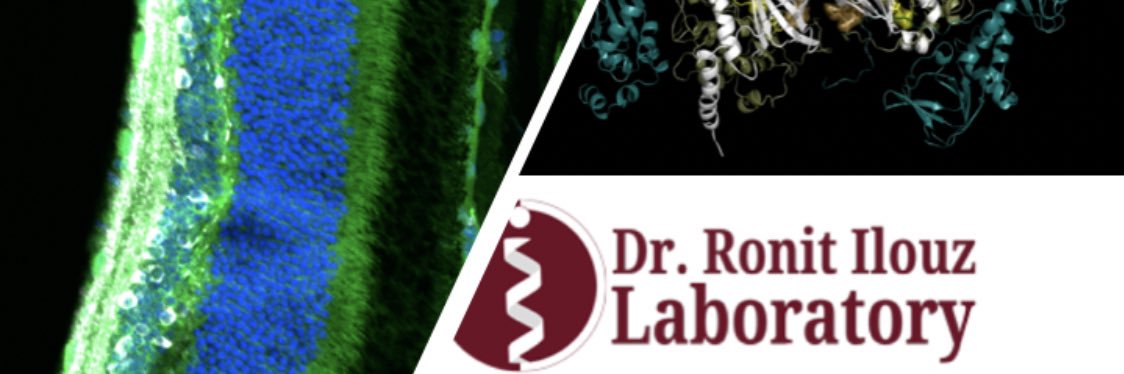 Ronit Ilouz's banner