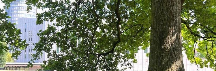 🍒 | mt after dm banner