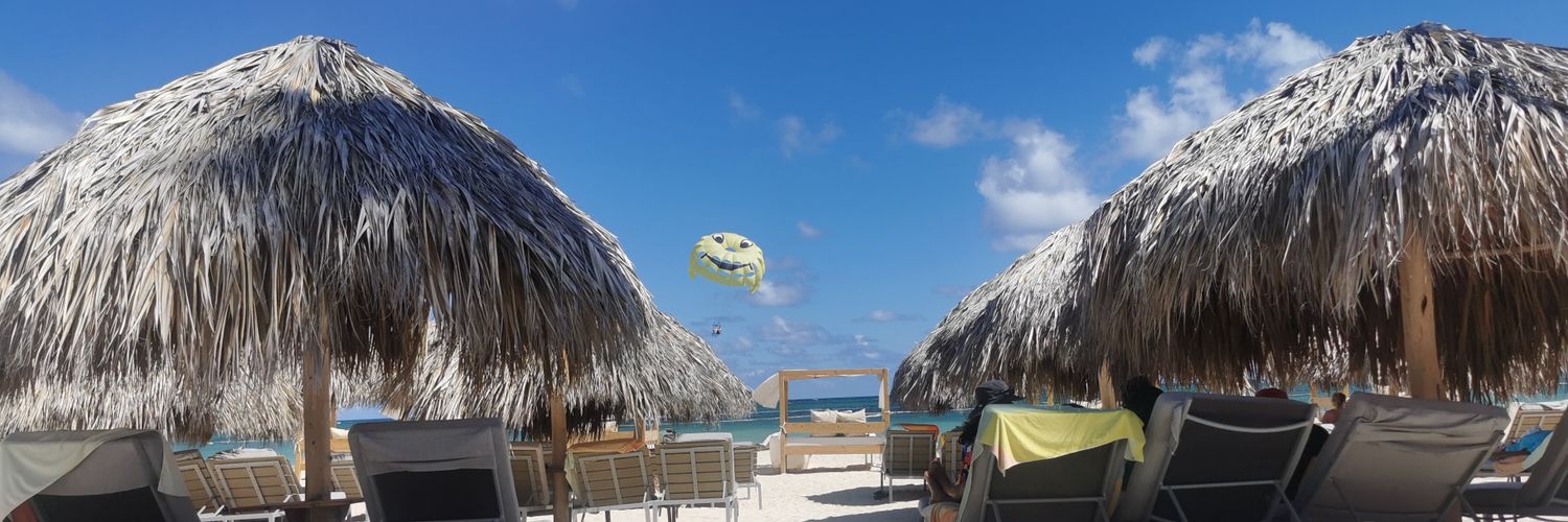 MeliARoy's profile banner image