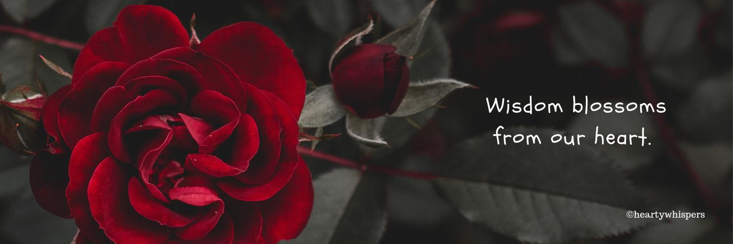 heartywhispers's profile banner image