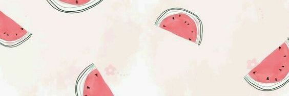 melon lee 🍉🐯 banner