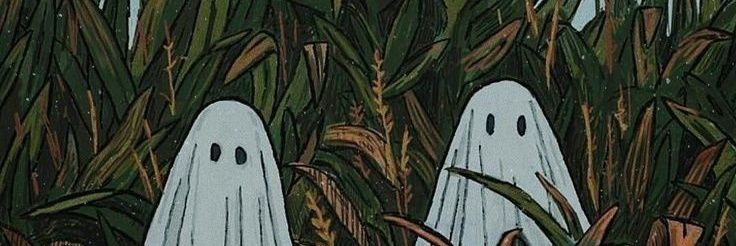 Pedro 𓃲 banner