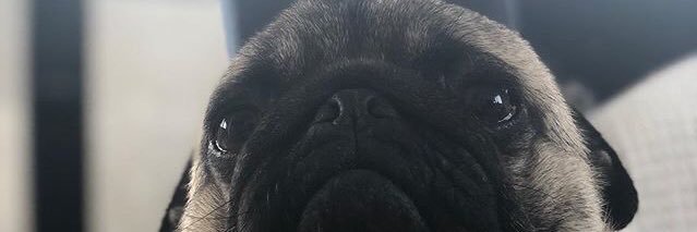 fttrkkmn's profile banner image