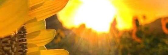 veronicmarti's profile banner image