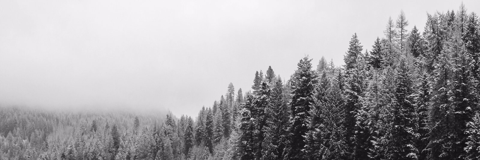 vieillevague's profile banner image