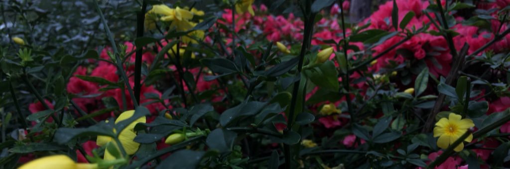 EHodges_'s profile banner image