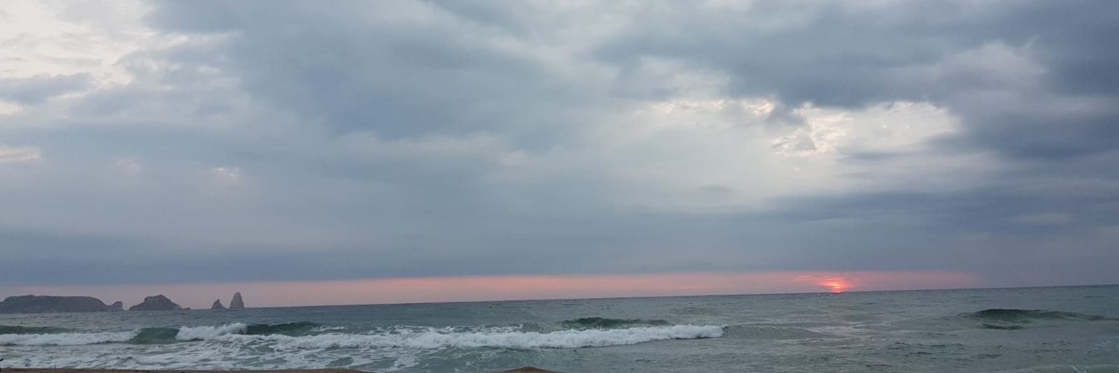 Mònica Lablanca banner