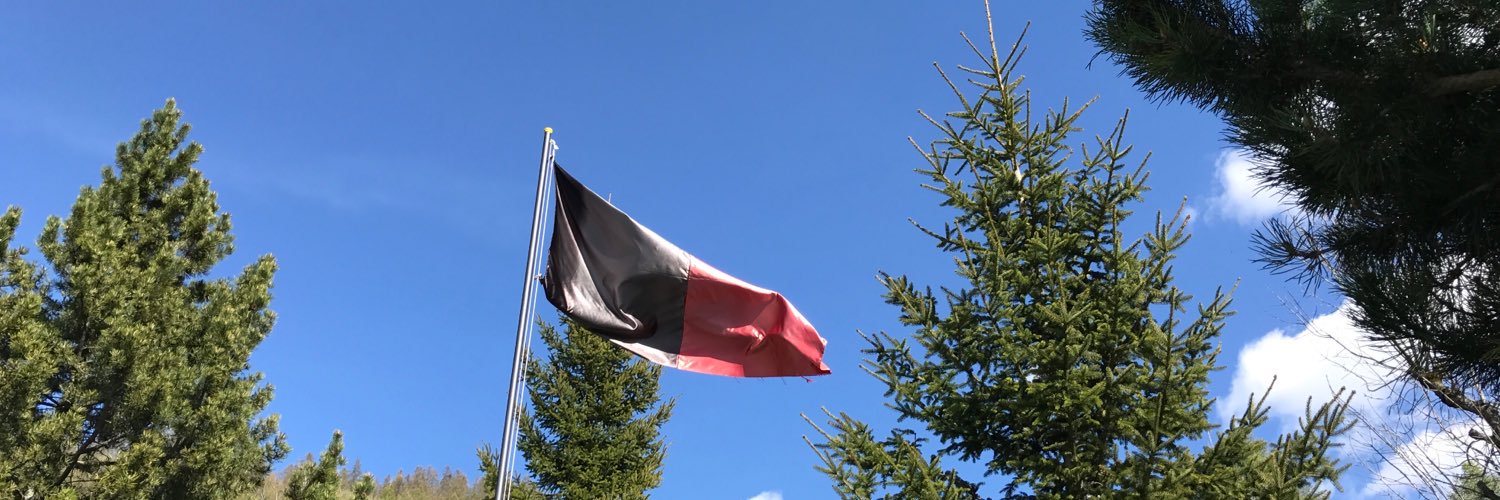 Michel Savin banner