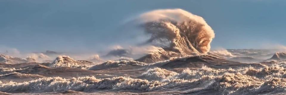 scott ferguson banner