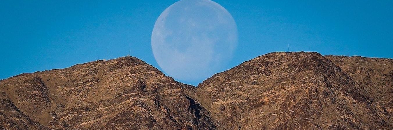 María Fernanda Rizo banner