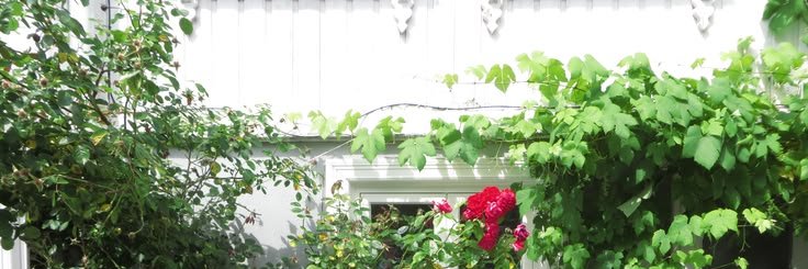 7878chan's profile banner image