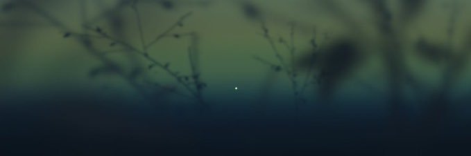 carpinusbe's profile banner image