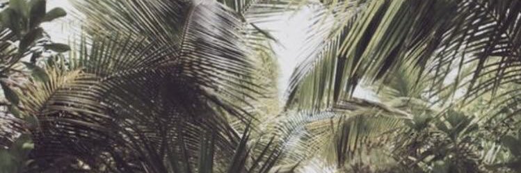 from_exoplanet's profile banner image